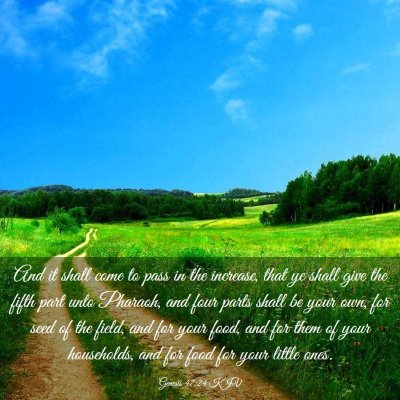 Picture 03 - Genesis 47:24 KJV - And it shall come to pass in the increase, that - Bible Verse Picture