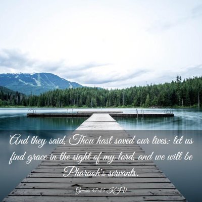 Picture 03 - Genesis 47:25 KJV - And they said, Thou hast saved our lives: let us - Bible Verse Picture