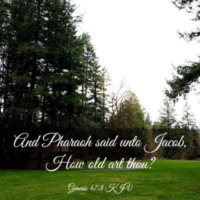 Picture 03 - Genesis 47:8 KJV - And Pharaoh said unto Jacob, How old art - Bible Verse Picture
