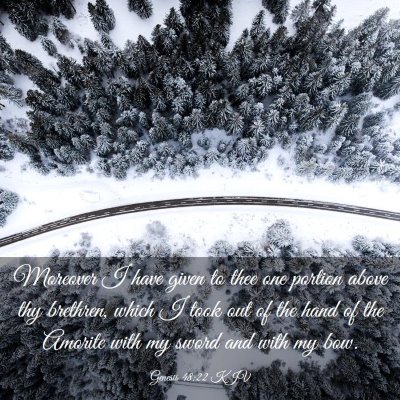 Picture 03 - Genesis 48:22 KJV - Moreover I have given to thee one portion above - Bible Verse Picture