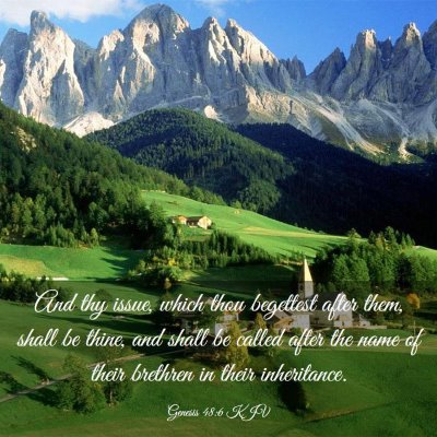 Picture 03 - Genesis 48:6 KJV - And thy issue, which thou begettest after them, - Bible Verse Picture
