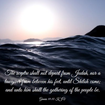 Picture 03 - Genesis 49:10 KJV - The sceptre shall not depart from Judah, nor a - Bible Verse Picture