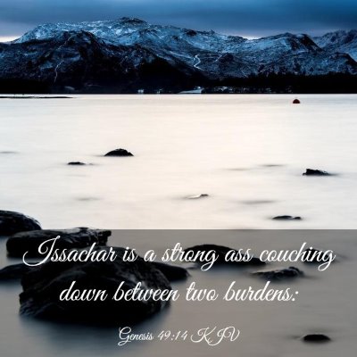 Picture 03 - Genesis 49:14 KJV - Issachar is a strong ass couching down between - Bible Verse Picture