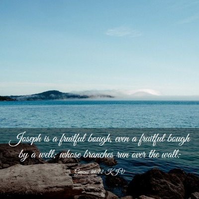 Picture 03 - Genesis 49:22 KJV - Joseph is a fruitful bough, even a fruitful bough - Bible Verse Picture