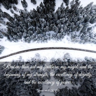 Picture 03 - Genesis 49:3 KJV - Reuben, thou art my firstborn, my might, and the - Bible Verse Picture
