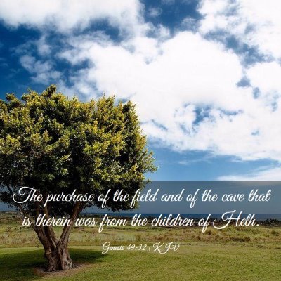 Picture 03 - Genesis 49:32 KJV - The purchase of the field and of the cave that is - Bible Verse Picture