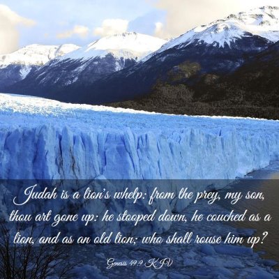 Picture 03 - Genesis 49:9 KJV - Judah is a lion's whelp: from the prey, my son, - Bible Verse Picture