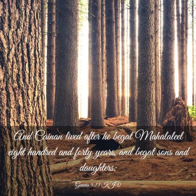 Picture 03 - Genesis 5:13 KJV - And Cainan lived after he begat Mahalaleel eight - Bible Verse Picture