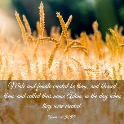 Picture 03 - Genesis 5:2 KJV - Male and female created he them; and blessed - Bible Verse Picture