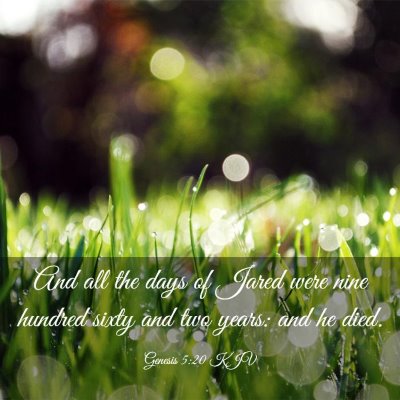 Picture 03 - Genesis 5:20 KJV - And all the days of Jared were nine hundred sixty - Bible Verse Picture