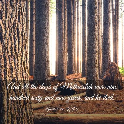 Picture 03 - Genesis 5:27 KJV - And all the days of Methuselah were nine hundred - Bible Verse Picture