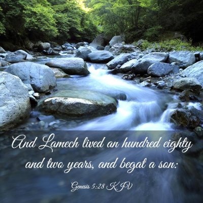 Picture 03 - Genesis 5:28 KJV - And Lamech lived an hundred eighty and two years, - Bible Verse Picture