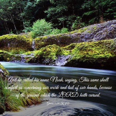 Picture 03 - Genesis 5:29 KJV - And he called his name Noah, saying, This same - Bible Verse Picture