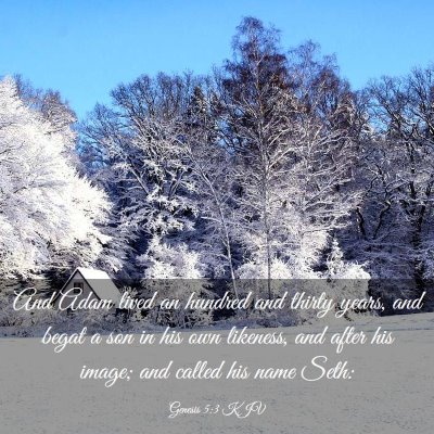 Picture 03 - Genesis 5:3 KJV - And Adam lived an hundred and thirty years, and - Bible Verse Picture