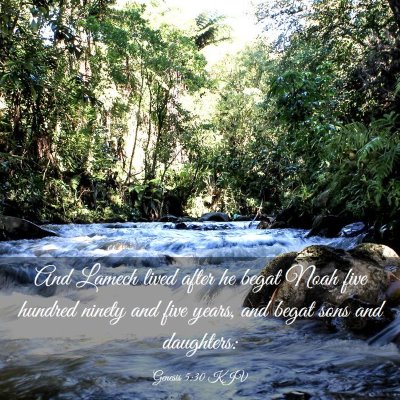 Picture 03 - Genesis 5:30 KJV - And Lamech lived after he begat Noah five hundred - Bible Verse Picture