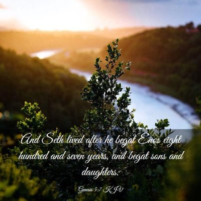 Picture 03 - Genesis 5:7 KJV - And Seth lived after he begat Enos eight hundred - Bible Verse Picture