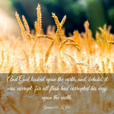 Picture 03 - Genesis 6:12 KJV - And God looked upon the earth, and, behold, it - Bible Verse Picture