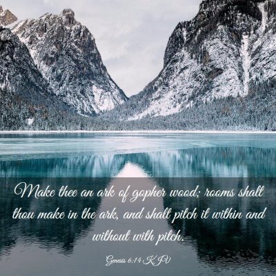 Picture 03 - Genesis 6:14 KJV - Make thee an ark of gopher wood; rooms shalt thou - Bible Verse Picture