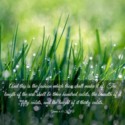 Picture 03 - Genesis 6:15 KJV - And this is the fashion which thou shalt make it - Bible Verse Picture