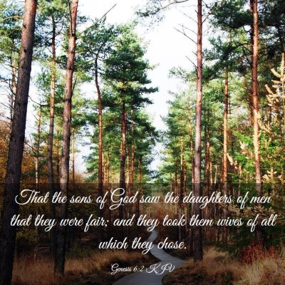 Picture 03 - Genesis 6:2 KJV - That the sons of God saw the daughters of men - Bible Verse Picture