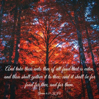 Picture 03 - Genesis 6:21 KJV - And take thou unto thee of all food that is - Bible Verse Picture