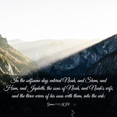 Picture 03 - Genesis 7:13 KJV - In the selfsame day entered Noah, and Shem, and - Bible Verse Picture