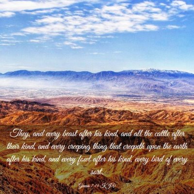 Picture 03 - Genesis 7:14 KJV - They, and every beast after his kind, and all the - Bible Verse Picture