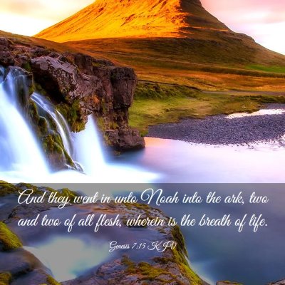 Picture 03 - Genesis 7:15 KJV - And they went in unto Noah into the ark, two and - Bible Verse Picture