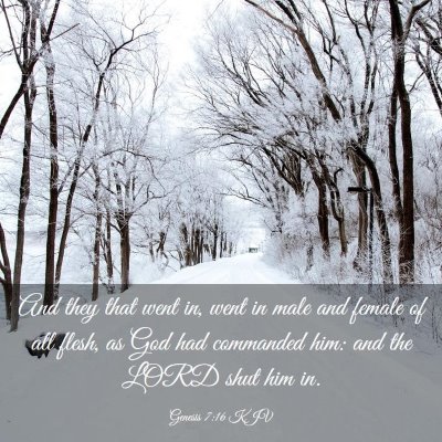 Picture 03 - Genesis 7:16 KJV - And they that went in, went in male and female of - Bible Verse Picture