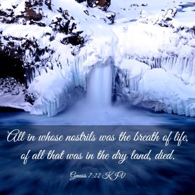 Picture 03 - Genesis 7:22 KJV - All in whose nostrils was the breath of life, of - Bible Verse Picture