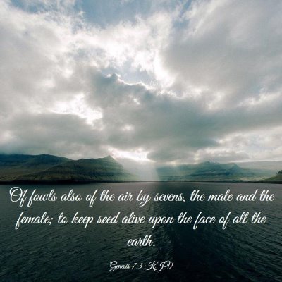 Picture 03 - Genesis 7:3 KJV - Of fowls also of the air by sevens, the male and - Bible Verse Picture