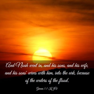 Picture 03 - Genesis 7:7 KJV - And Noah went in, and his sons, and his wife, and - Bible Verse Picture
