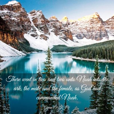 Picture 03 - Genesis 7:9 KJV - There went in two and two unto Noah into the ark, - Bible Verse Picture