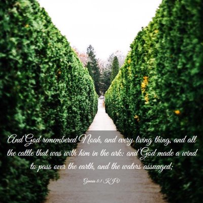 Picture 03 - Genesis 8:1 KJV - And God remembered Noah, and every living thing, - Bible Verse Picture