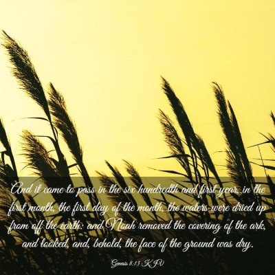 Picture 03 - Genesis 8:13 KJV - And it came to pass in the six hundredth and - Bible Verse Picture