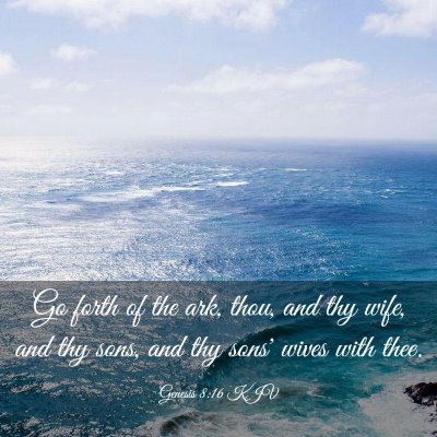 Picture 03 - Genesis 8:16 KJV - Go forth of the ark, thou, and thy wife, and thy - Bible Verse Picture
