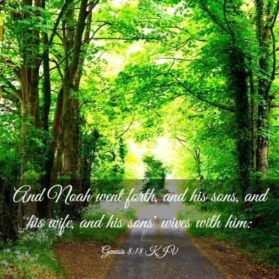 Picture 03 - Genesis 8:18 KJV - And Noah went forth, and his sons, and his wife, - Bible Verse Picture