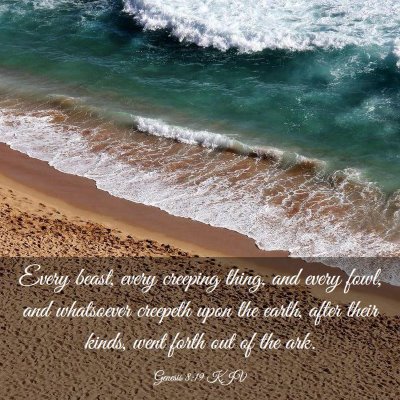Picture 03 - Genesis 8:19 KJV - Every beast, every creeping thing, and every - Bible Verse Picture