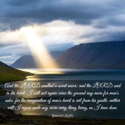 Picture 03 - Genesis 8:21 KJV - And the LORD smelled a sweet savor; and the LORD - Bible Verse Picture