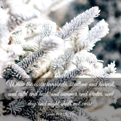 Picture 03 - Genesis 8:22 KJV - While the earth remaineth, seedtime and harvest, - Bible Verse Picture
