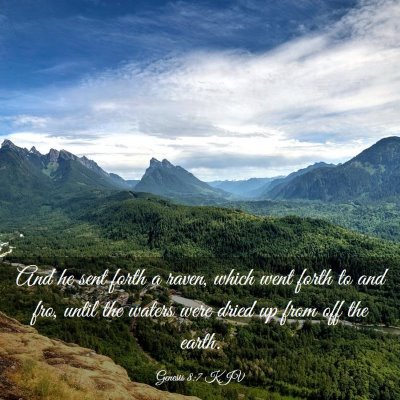 Picture 03 - Genesis 8:7 KJV - And he sent forth a raven, which went forth to - Bible Verse Picture