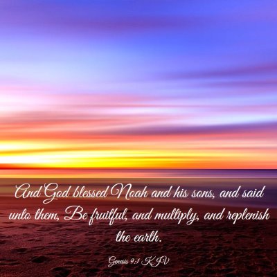Picture 03 - Genesis 9:1 KJV - And God blessed Noah and his sons, and said unto - Bible Verse Picture