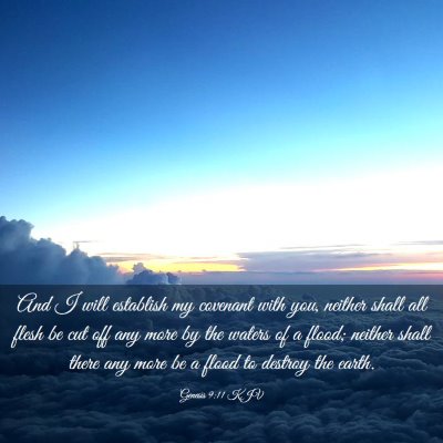 Picture 03 - Genesis 9:11 KJV - And I will establish my covenant with you, - Bible Verse Picture