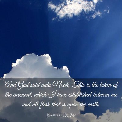 Picture 03 - Genesis 9:17 KJV - And God said unto Noah, This is the token of the - Bible Verse Picture