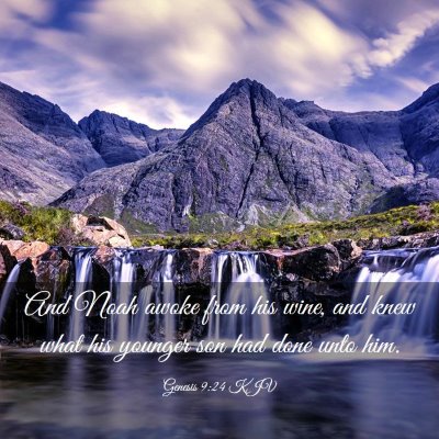 Picture 03 - Genesis 9:24 KJV - And Noah awoke from his wine, and knew what his - Bible Verse Picture