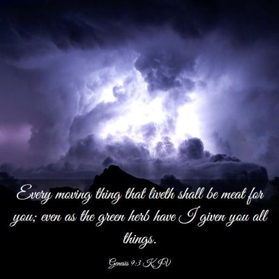 Picture 03 - Genesis 9:3 KJV - Every moving thing that liveth shall be meat for - Bible Verse Picture