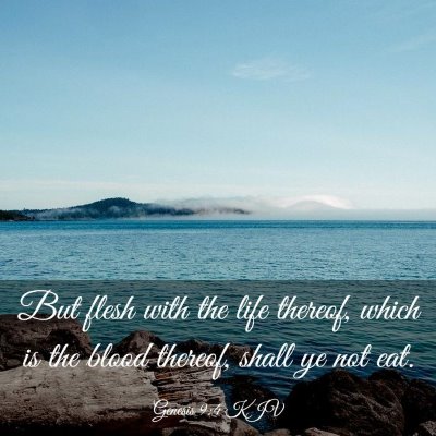Picture 03 - Genesis 9:4 KJV - But flesh with the life thereof, which is the - Bible Verse Picture
