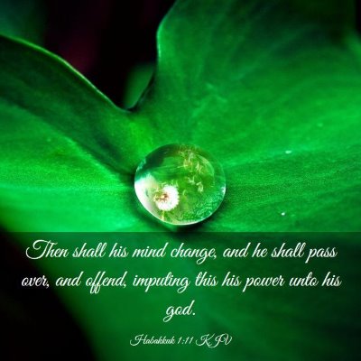 Picture 03 - Habakkuk 1:11 KJV - Then shall his mind change, and he shall pass - Bible Verse Picture