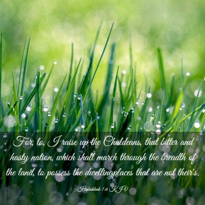 Picture 03 - Habakkuk 1:6 KJV - For, lo, I raise up the Chaldeans, that bitter - Bible Verse Picture