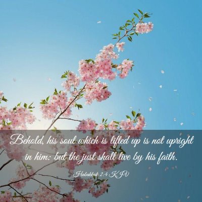 Picture 03 - Habakkuk 2:4 KJV - Behold, his soul which is lifted up is not - Bible Verse Picture